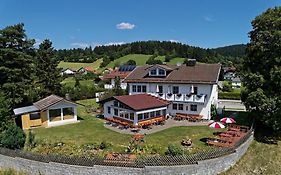Hotel Haus am Berg Rinchnach